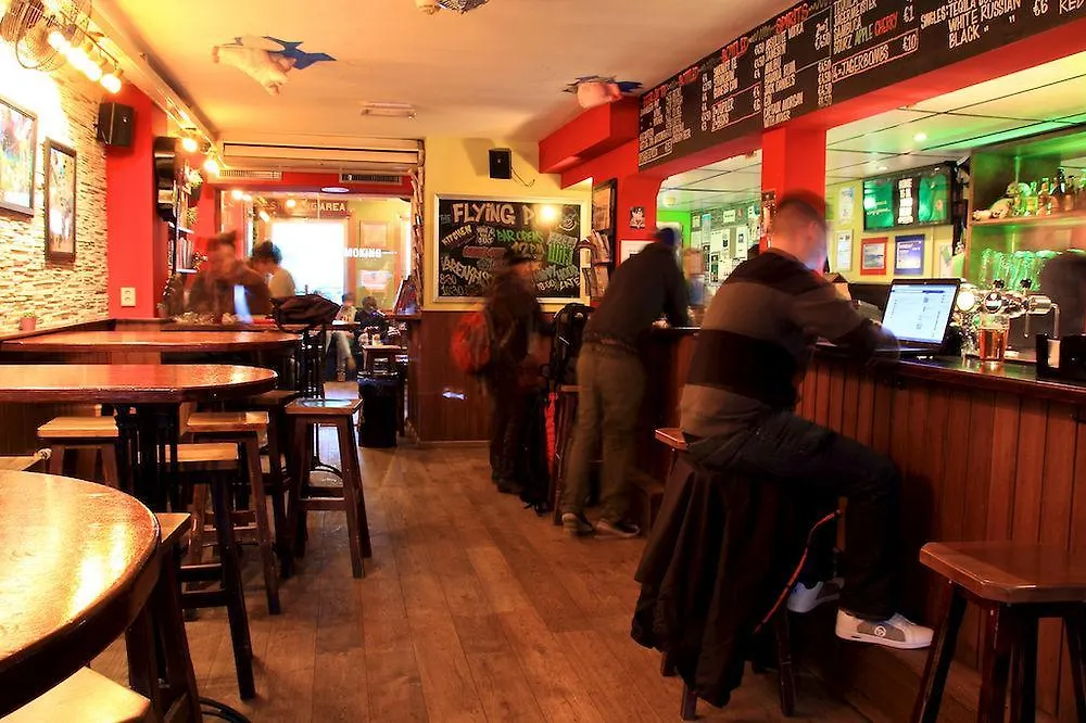 The Flying Pig Uptown Hostel Amsterdam Nederland